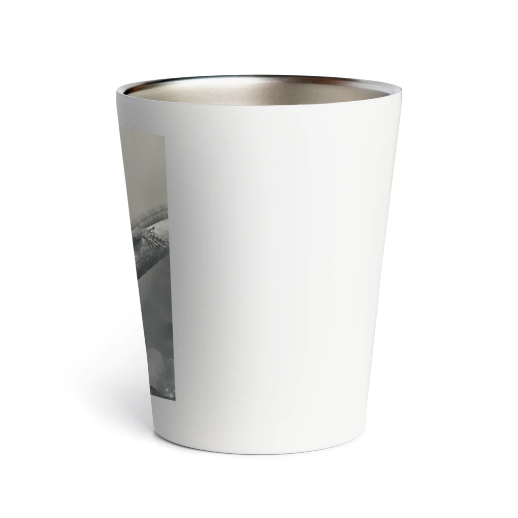 えこーるのコバルトツリーモニター3 Thermo Tumbler