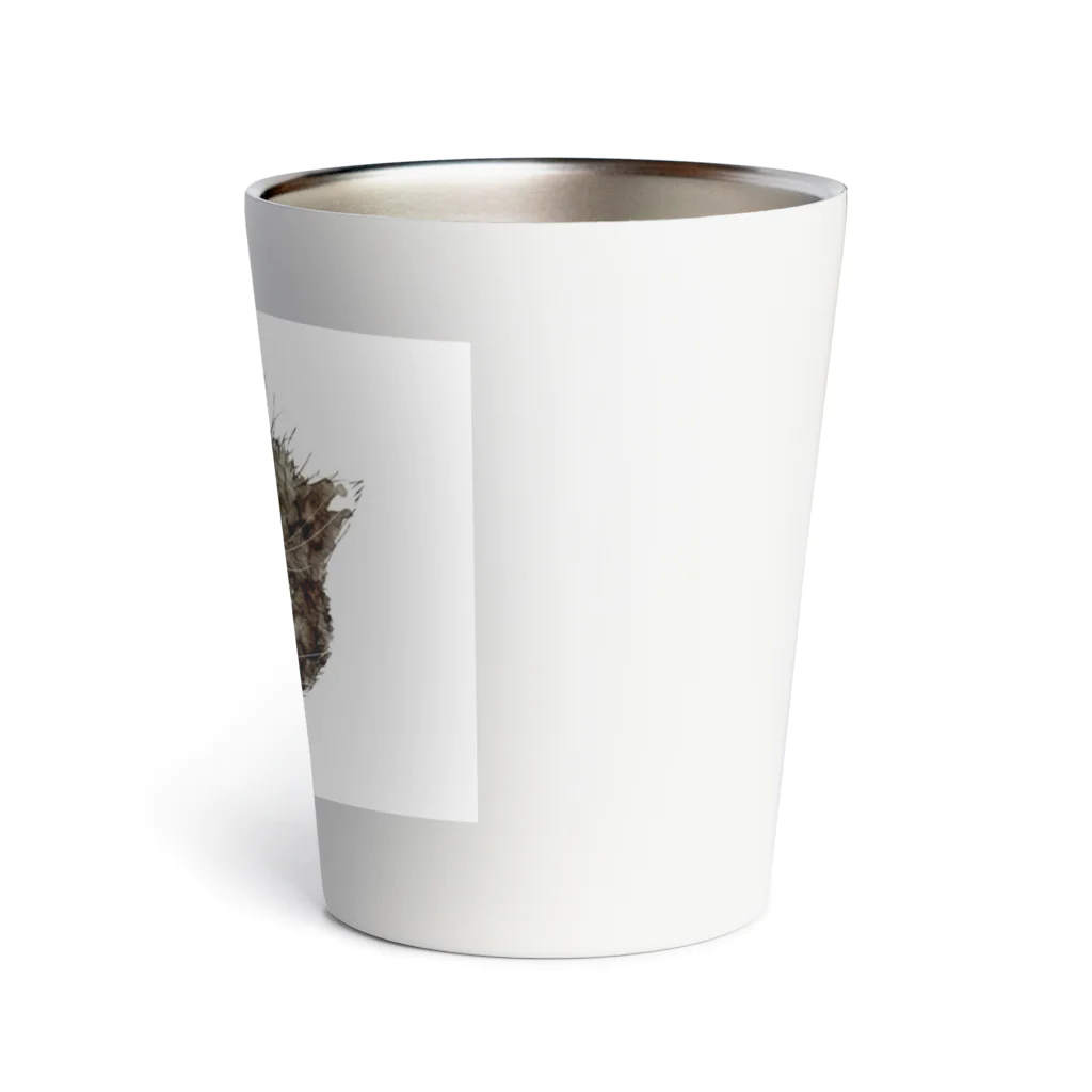 保護猫茶トラ兄弟LIFEの杏ちゃん Thermo Tumbler