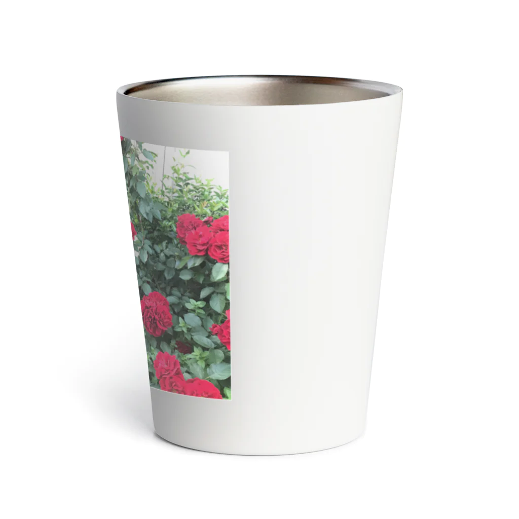 しみずやの中野で撮った花 Thermo Tumbler