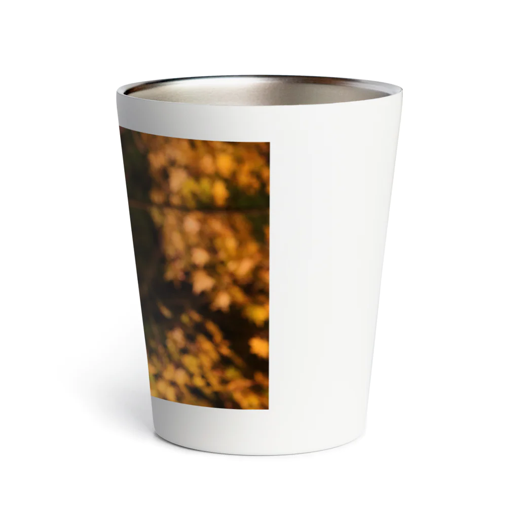 nokkccaのライトアップ紅葉 - Japanese maple(night shot) - Thermo Tumbler