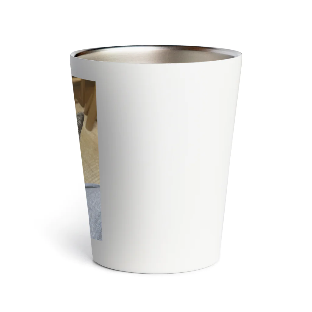 にゃんにゃんのちょこちゃん Thermo Tumbler