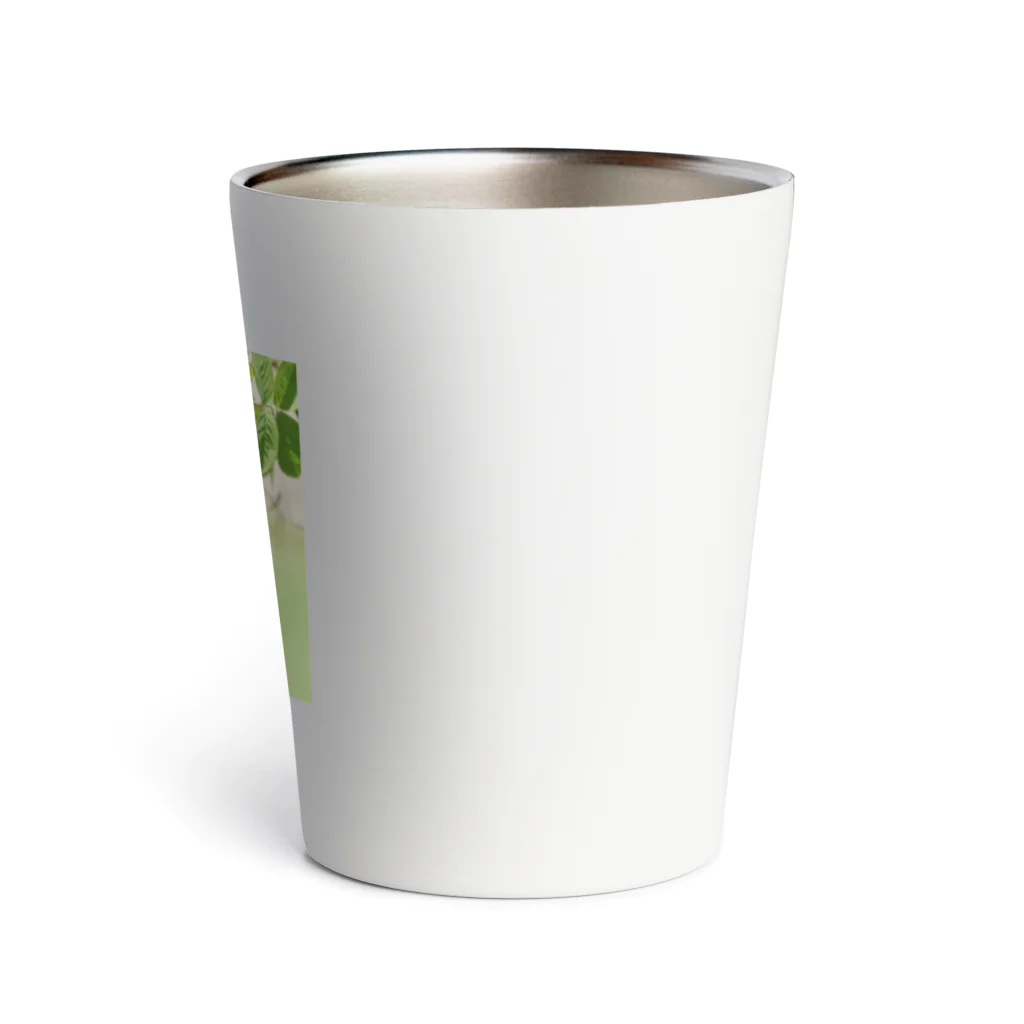 Amie's Gardenのハーブのお店のダマスクローズ Thermo Tumbler