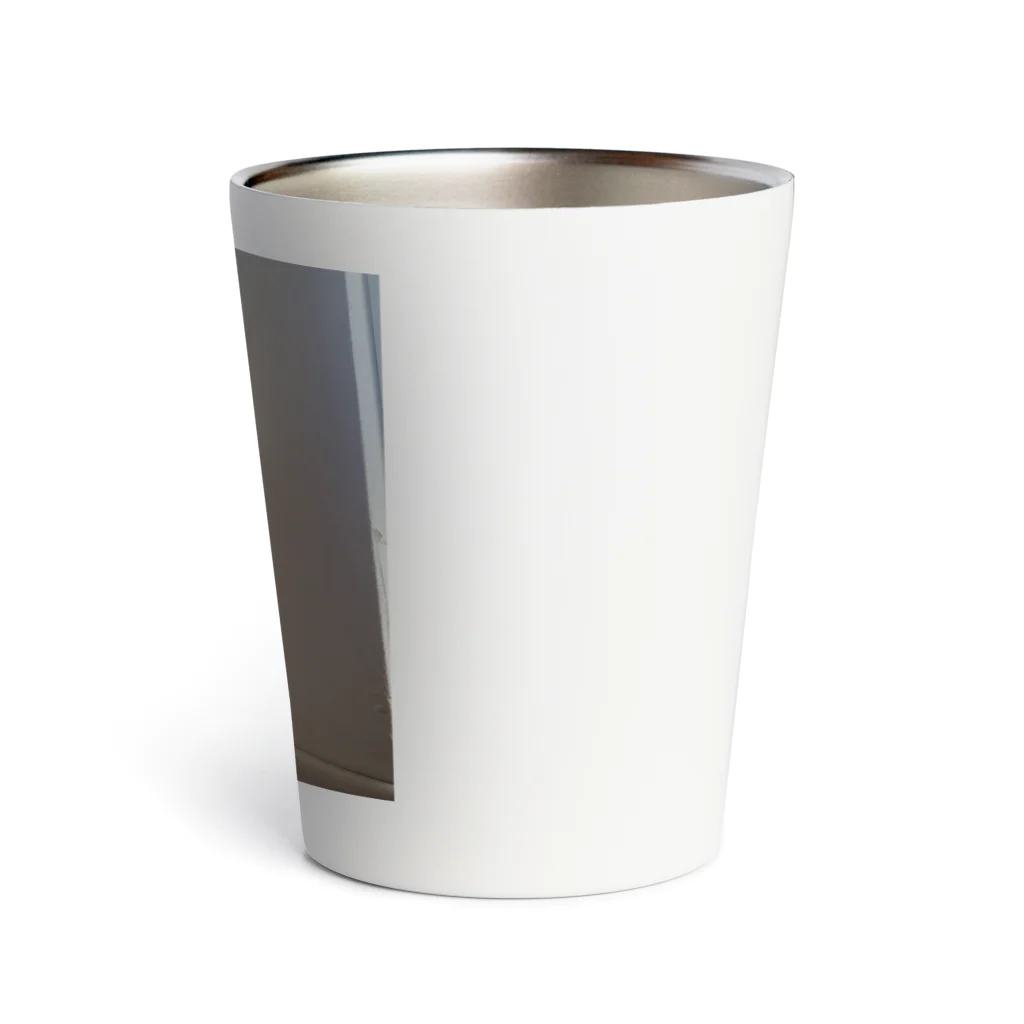 しろねこまるのしろねこまる Thermo Tumbler