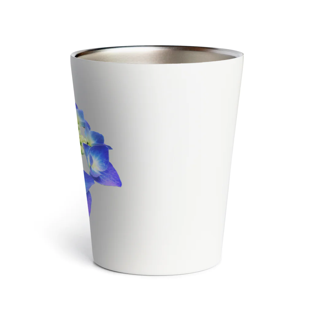 acobi'sの紫陽花 Thermo Tumbler