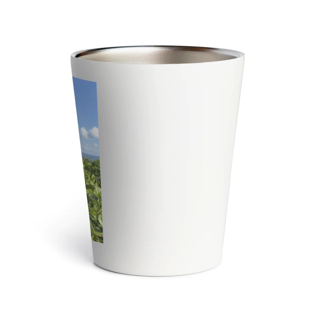 Ripples沖縄レジンアートの沖縄の海とハイビスカス Thermo Tumbler