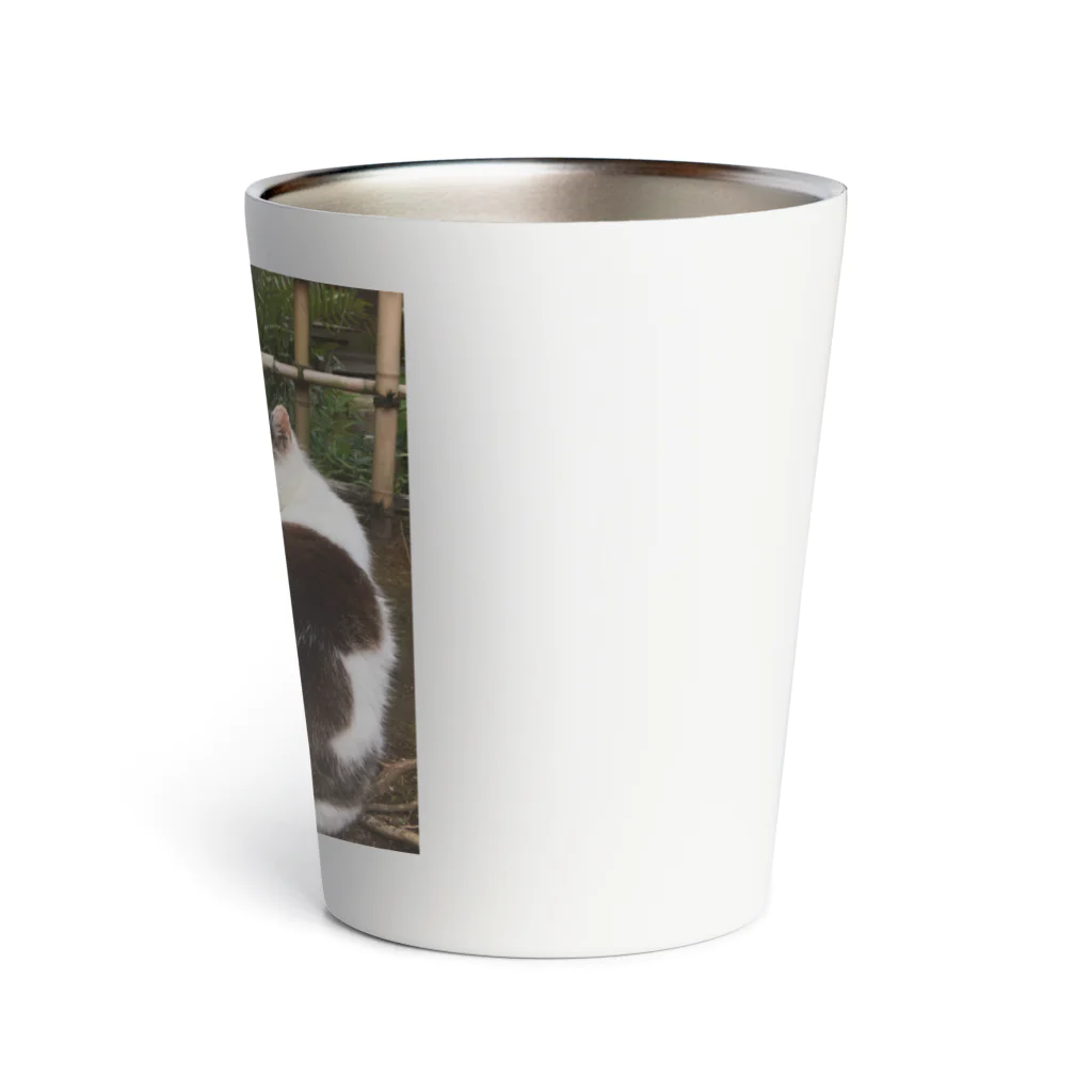 travelohayuの振り返り美猫図 Thermo Tumbler