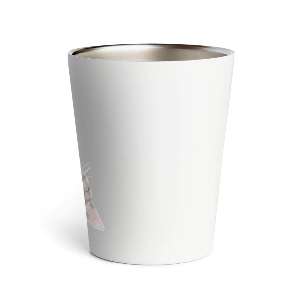 はるさめ商店のサバトラ Thermo Tumbler