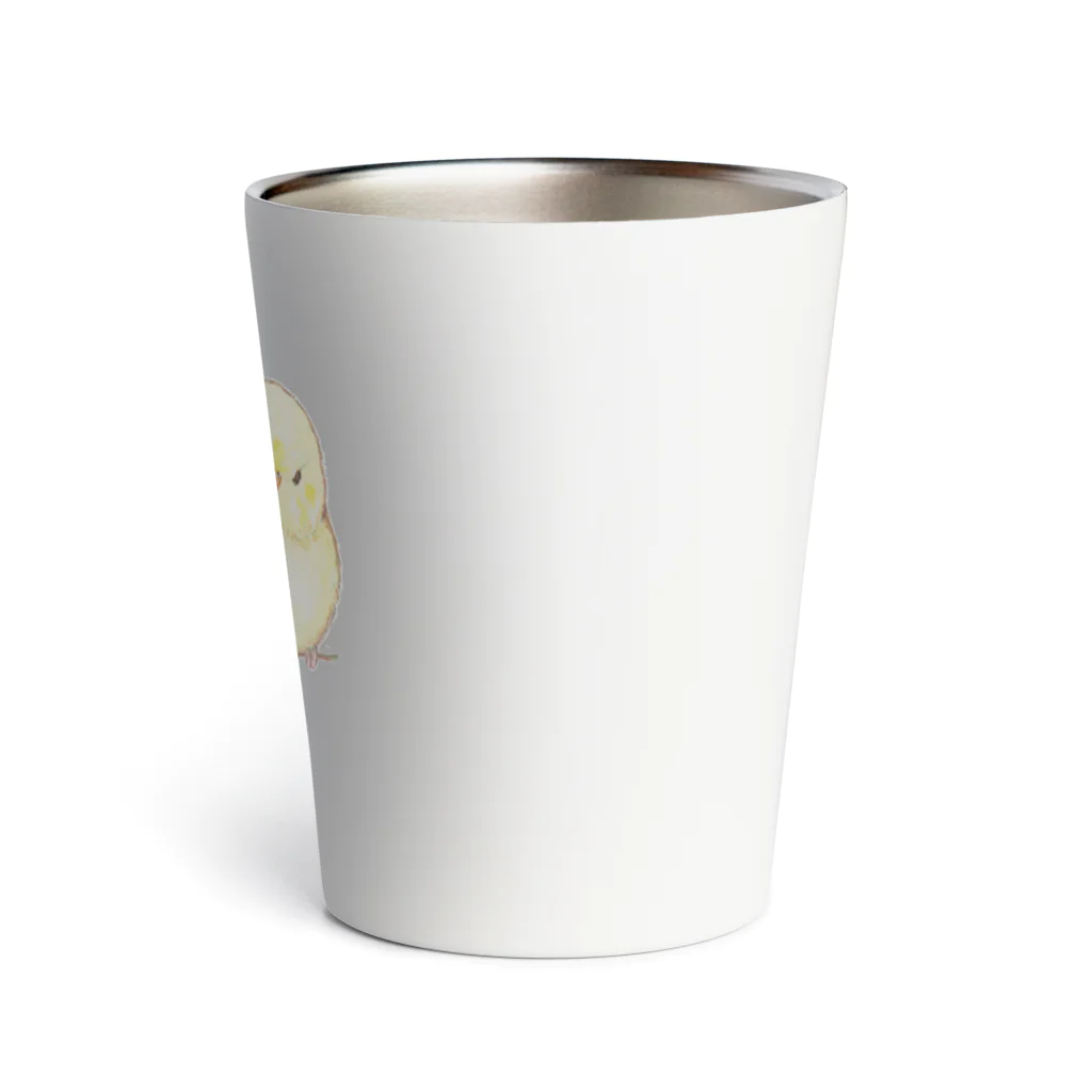 aoamo shopのaoamoサザナミインコ Thermo Tumbler