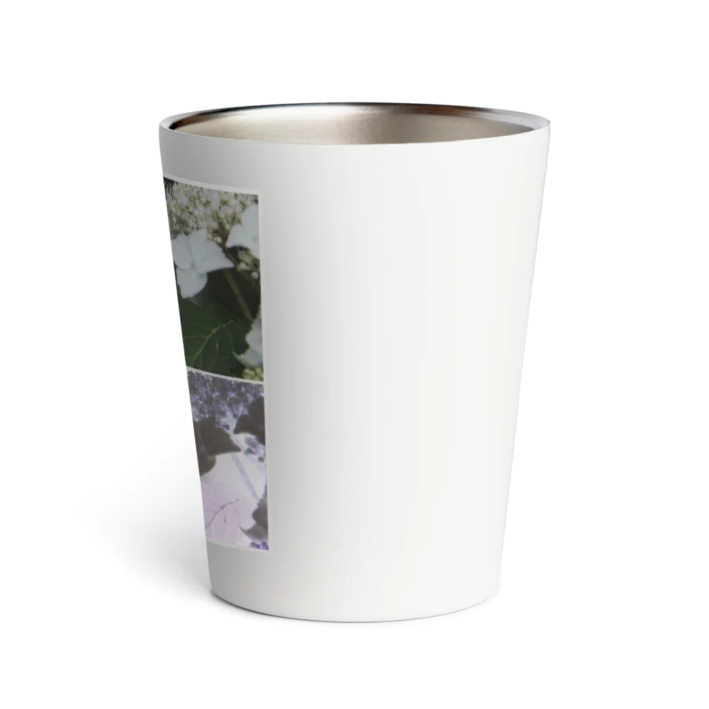 蛍石のhydrangeas Thermo Tumbler