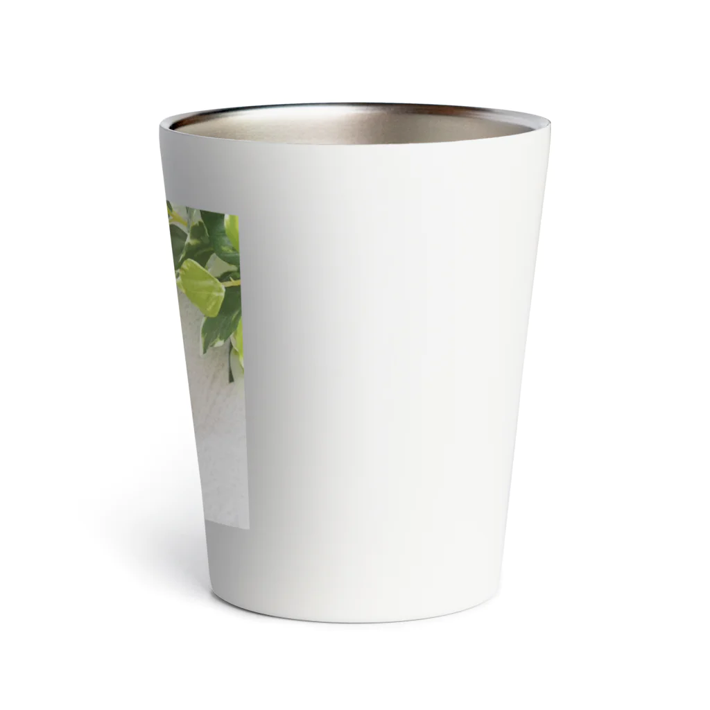 kumamia（くまみあ）のひょっこり！ホットコーヒー Thermo Tumbler