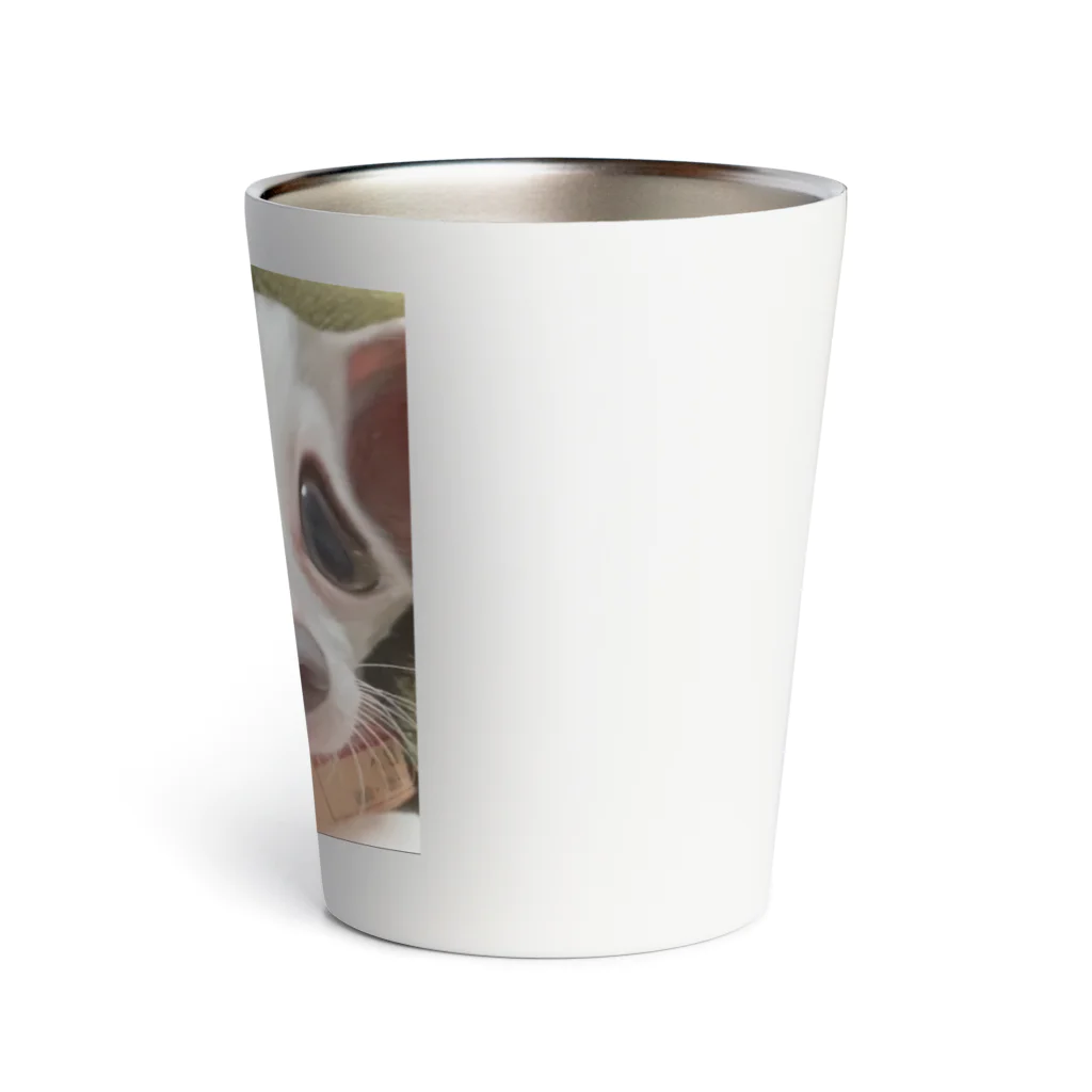 こはちのスピってる犬  Thermo Tumbler