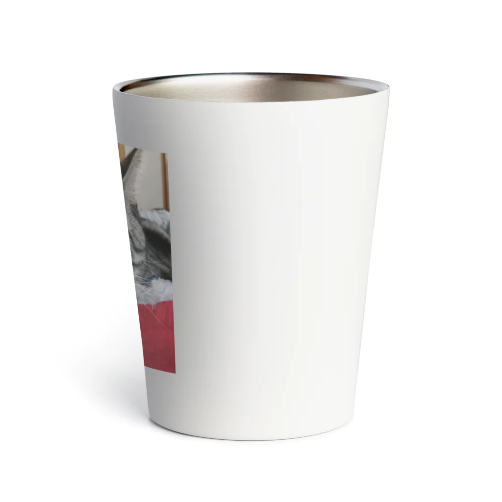 ねこノートのあごのせ寝 Thermo Tumbler