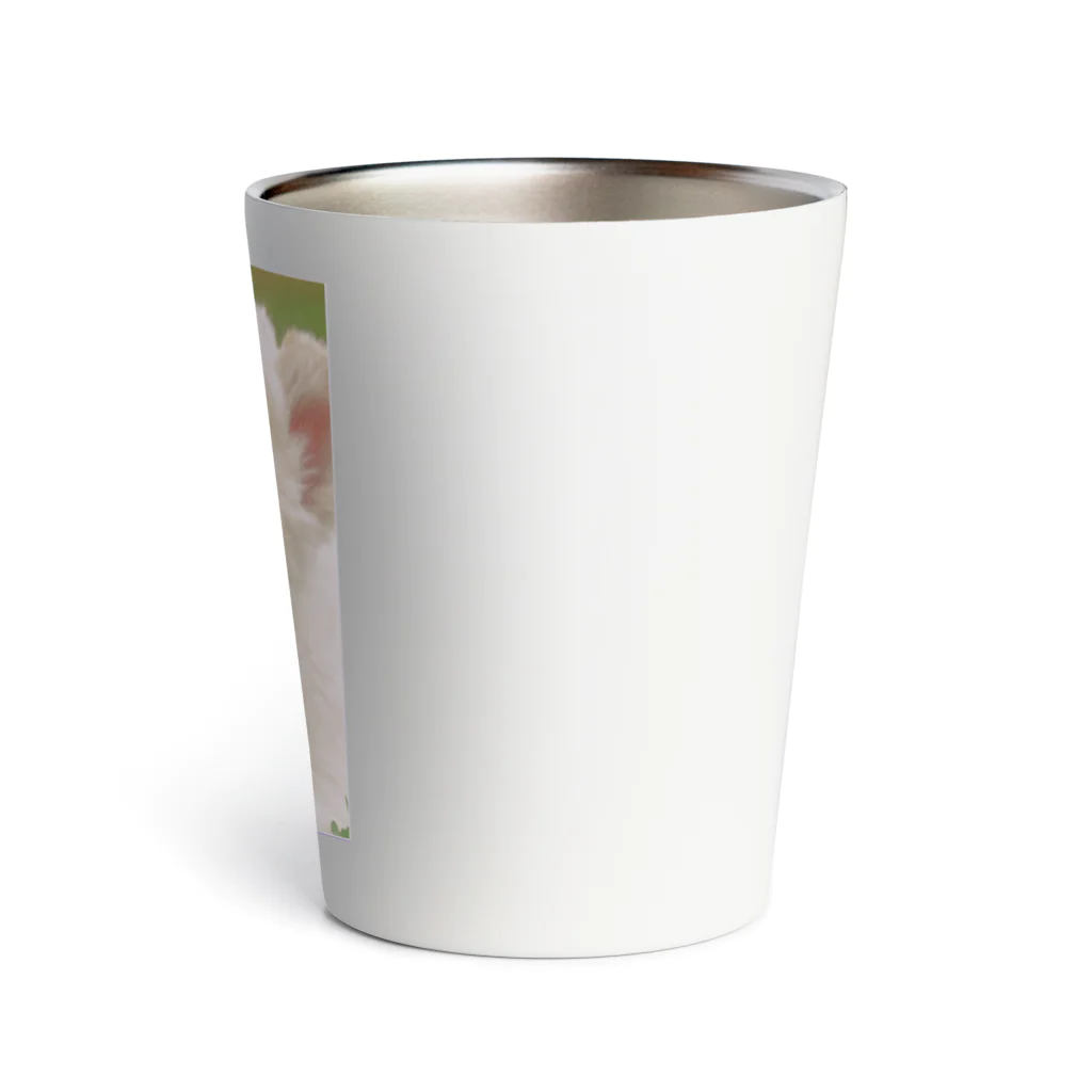 まっしろなのやんちゃなホワイトライオン Thermo Tumbler