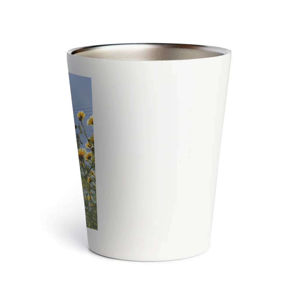 MMの黄色い春菊の花 Thermo Tumbler