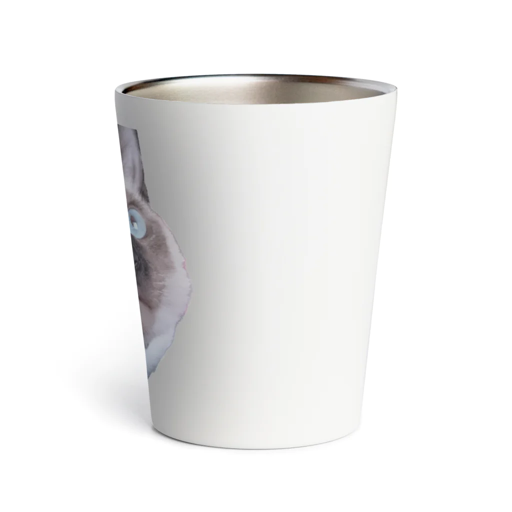 maronchiro55のマロンくん Thermo Tumbler