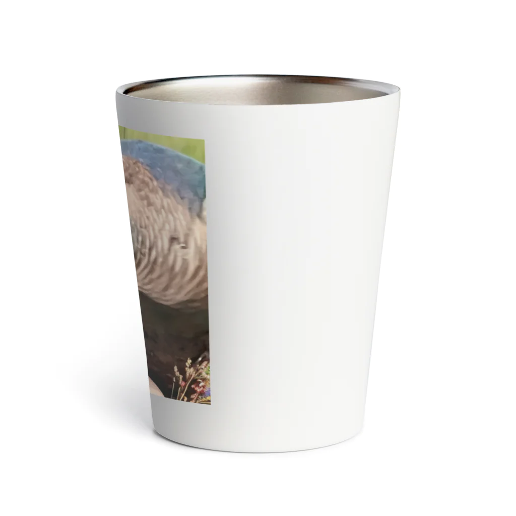 ウロコインコ好きの人へのお花に囲まれて Thermo Tumbler