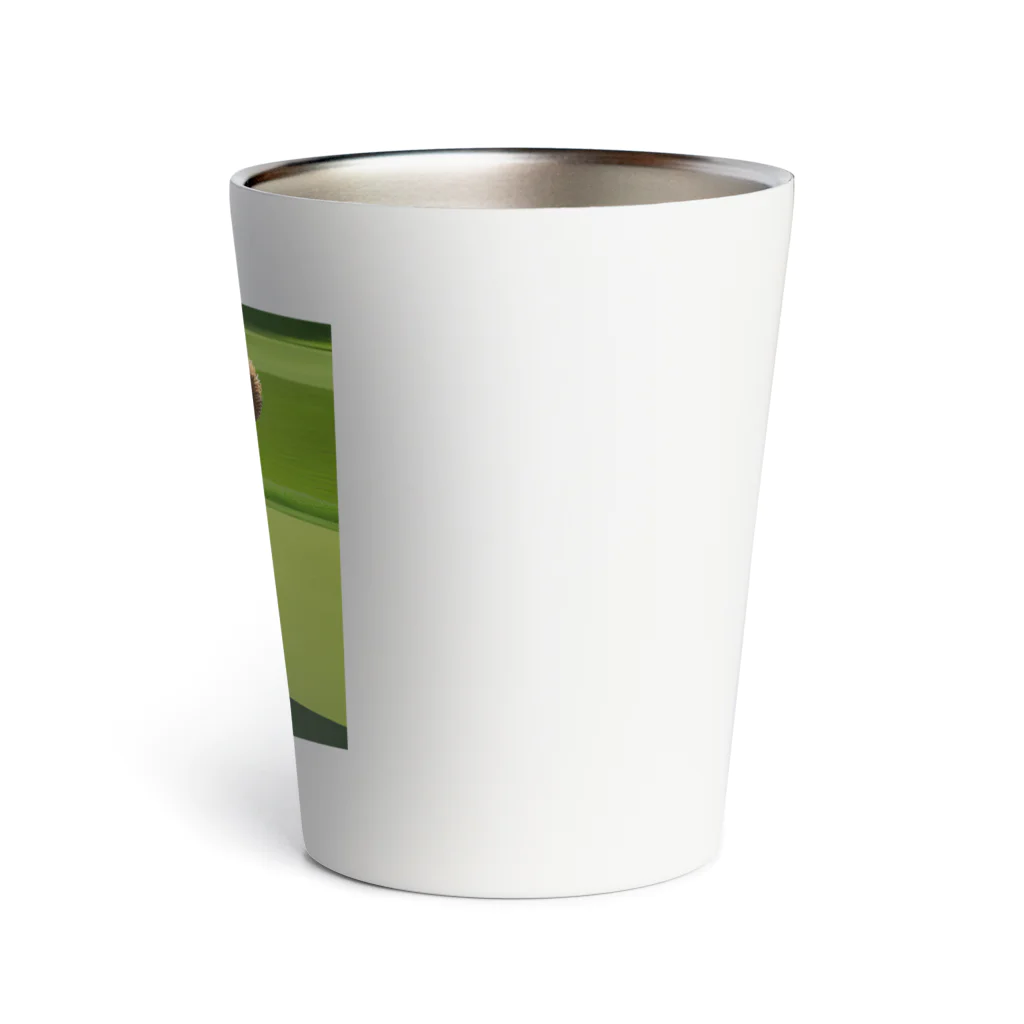 テディーくんのゴルファーテディくん Thermo Tumbler