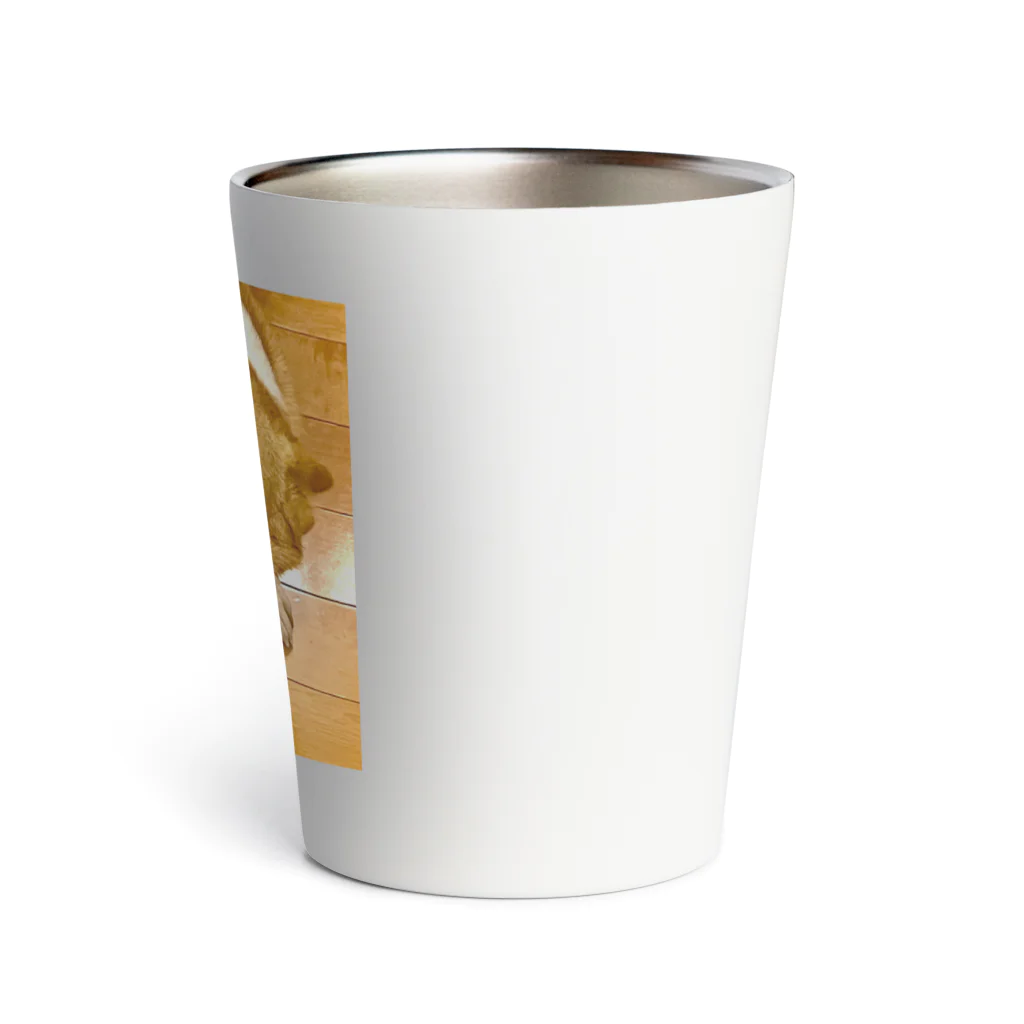 "Canvas Harmony"の笑顔溢れるコーギー、あおくん Thermo Tumbler