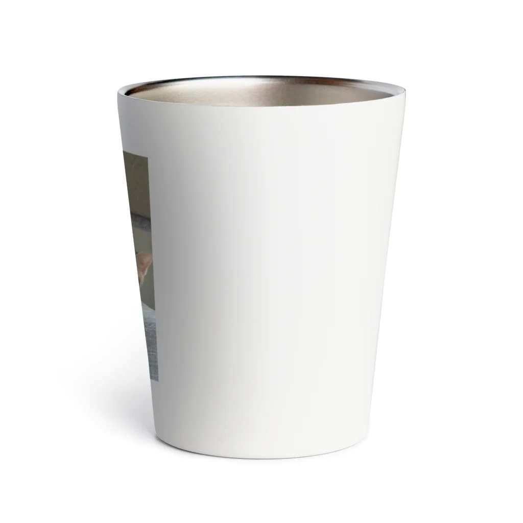 ショップyukimaroのネコちゃんたち Thermo Tumbler