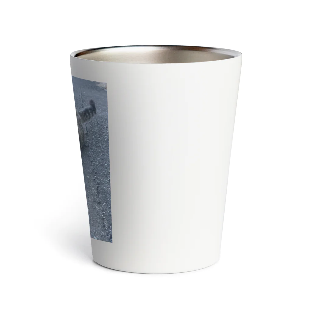 ながしっぽ from.さくらねこの家のながしっぼ typeN Thermo Tumbler