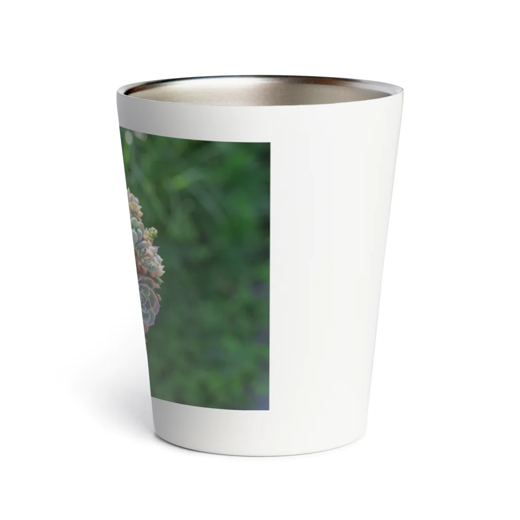 LittlebeeGardenのsucculent2 Thermo Tumbler