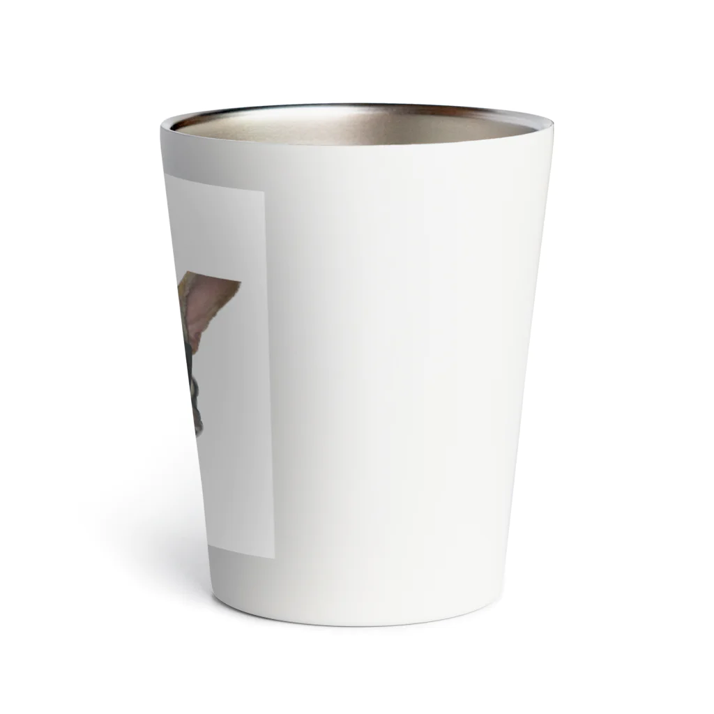 N.Yamamuraのフレブルくん Thermo Tumbler