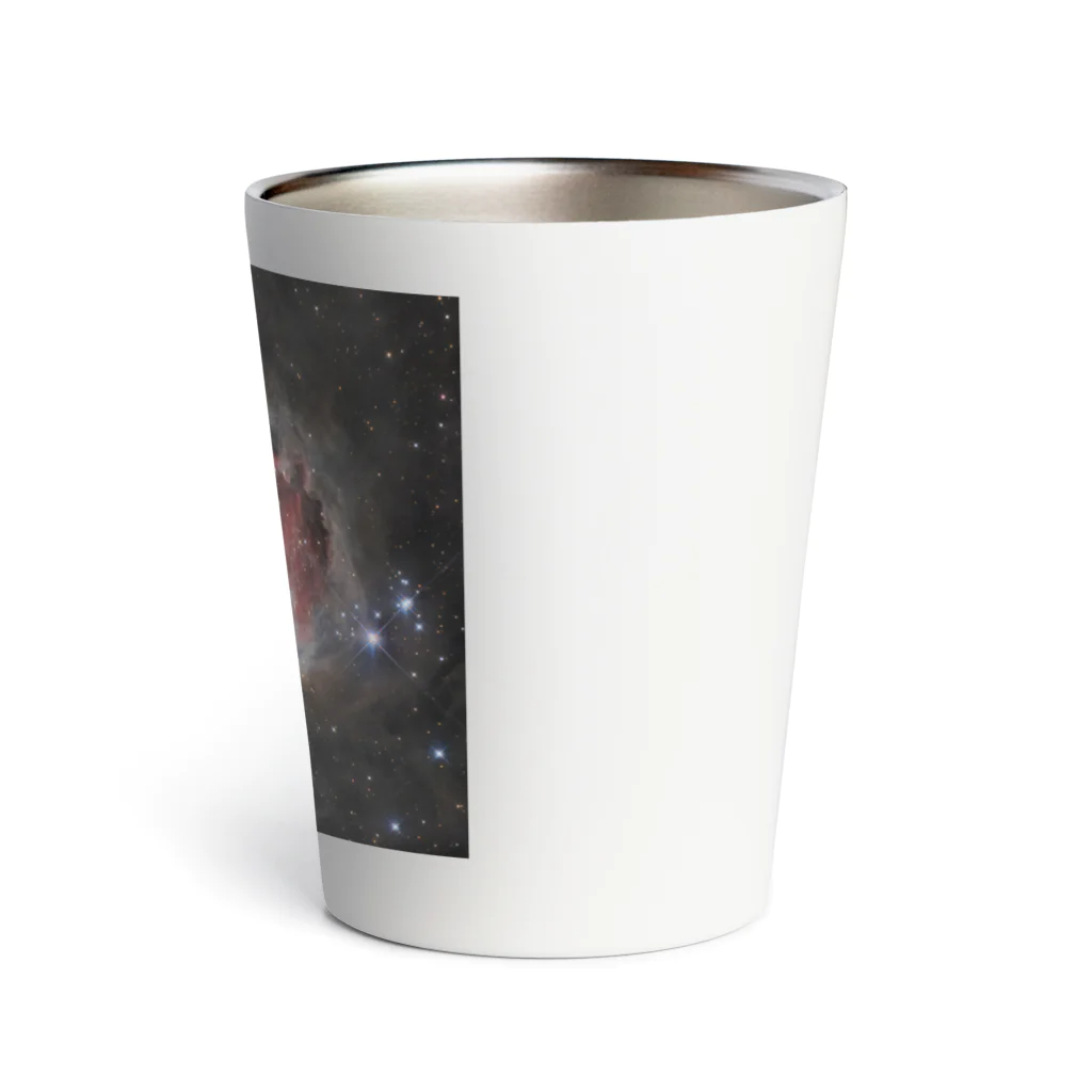 S204_Nanaのオリオン大星雲 Thermo Tumbler