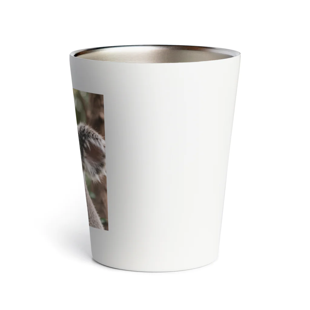 popchokobiのコアラ Thermo Tumbler