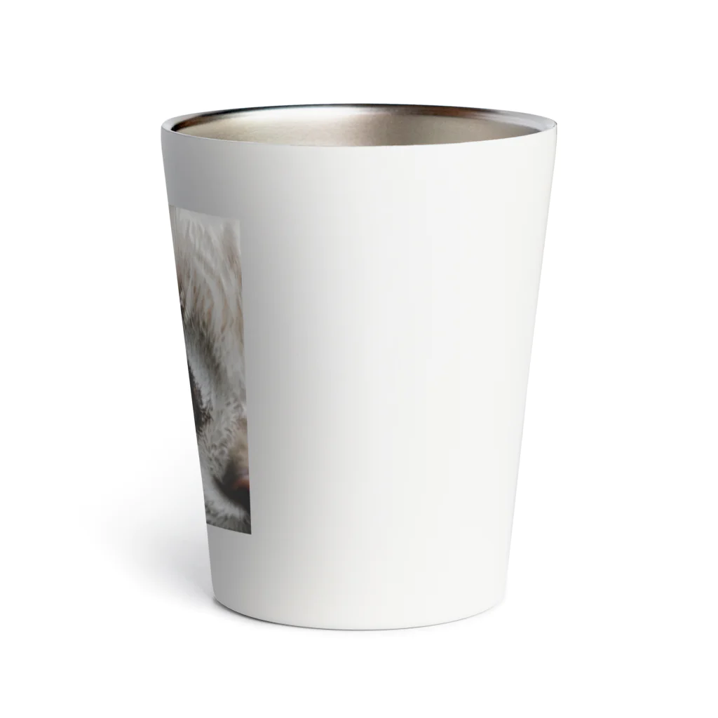 Suminekoのドアップ猫さん Thermo Tumbler