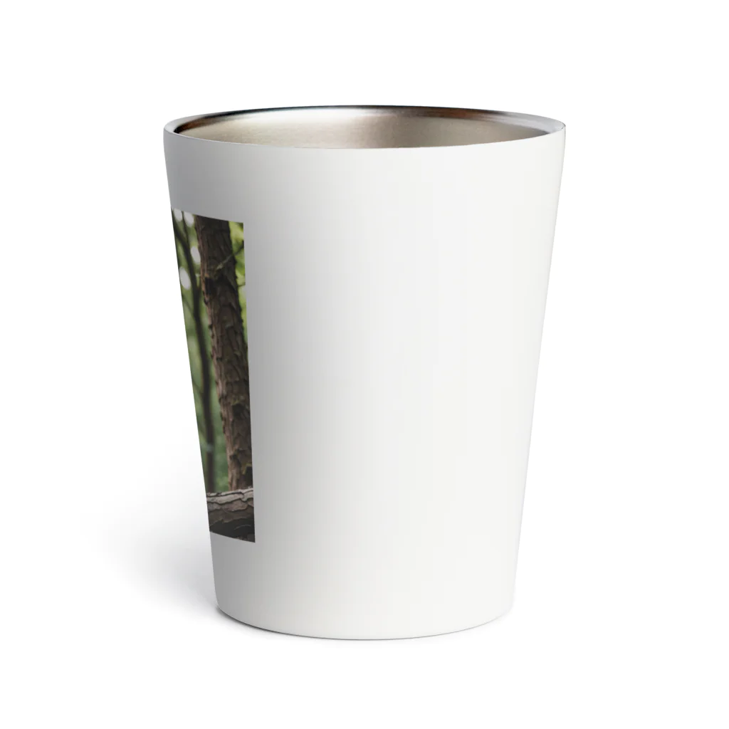 Shigeto Galaxy2hbの森の猫 Thermo Tumbler