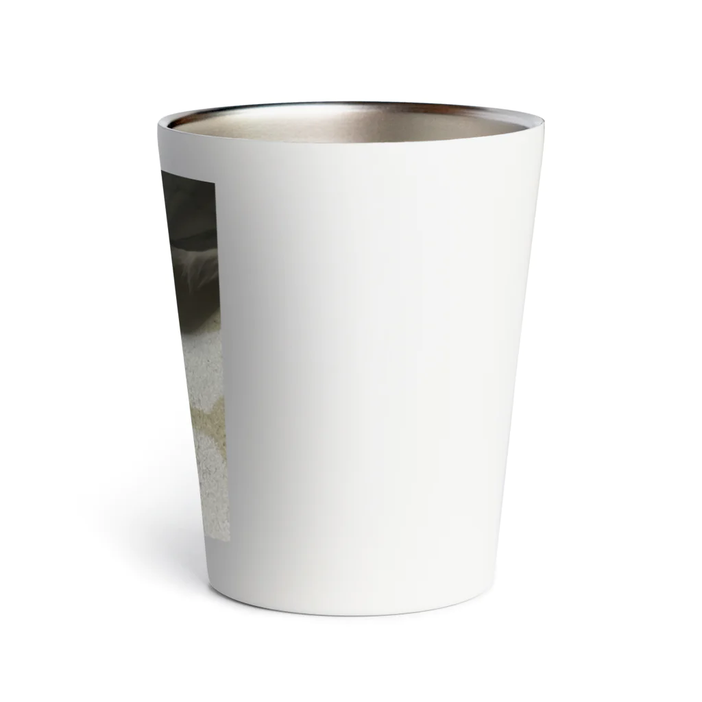 S2.カンパニーのアポロくんです！ Thermo Tumbler