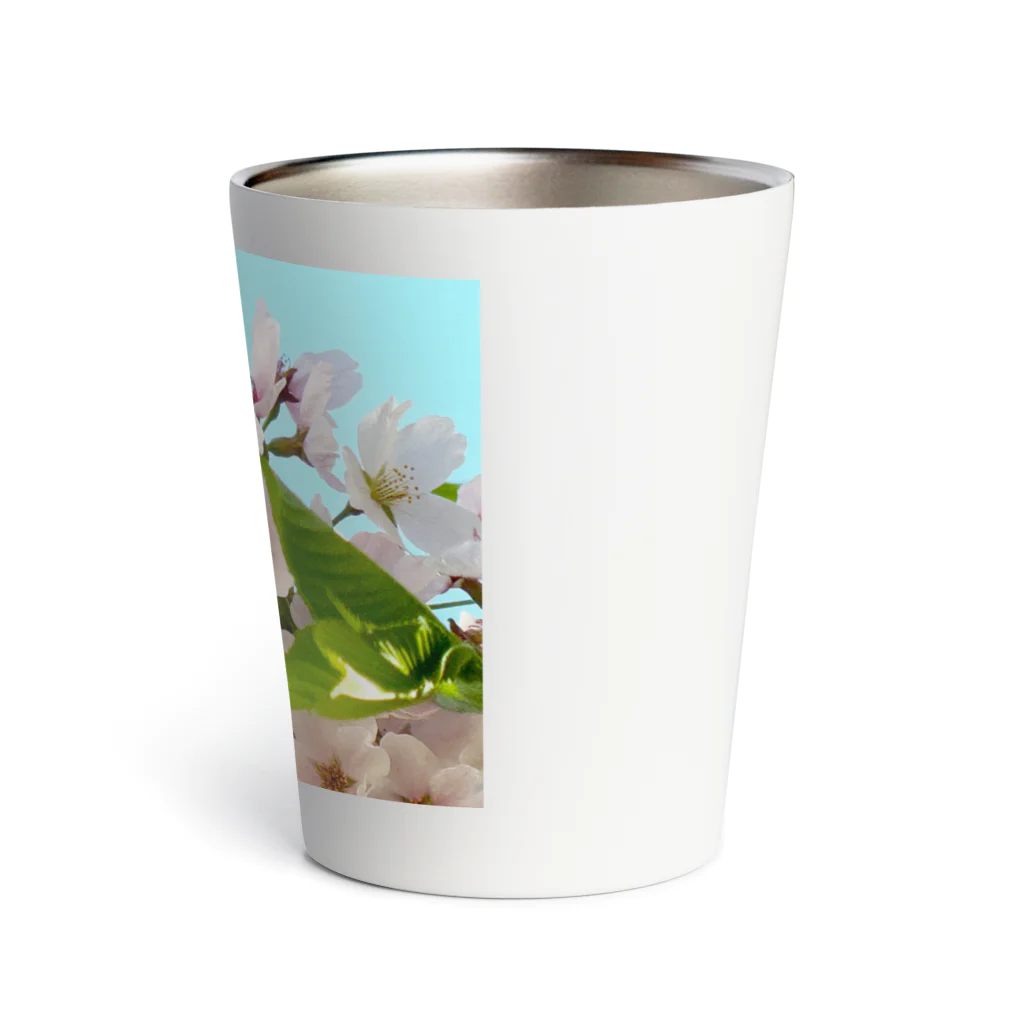 atelier_lapislazuliの桜 Thermo Tumbler