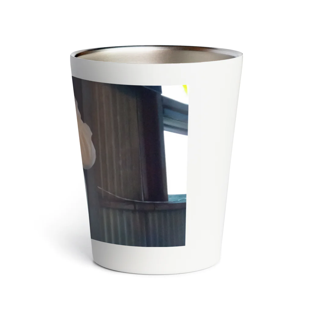 自撮りさんの廃墟ロリータ Thermo Tumbler