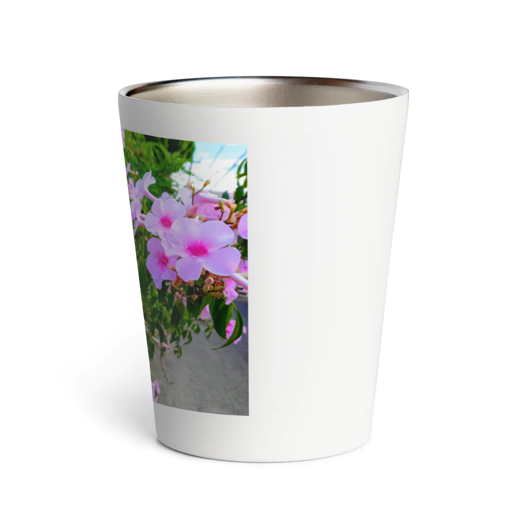 終わらない夢🌈の実写シリーズ【初夏の美しい花🌸】 Thermo Tumbler