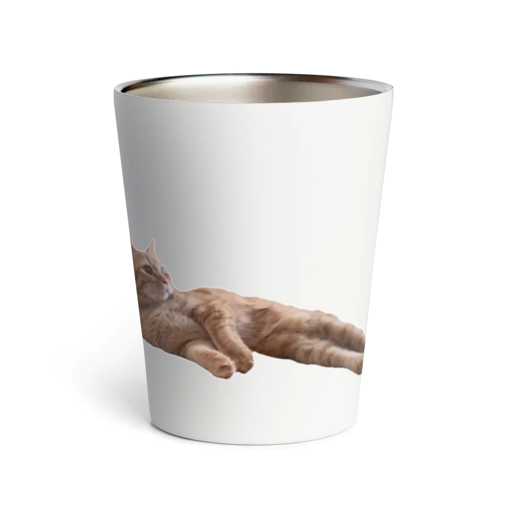 INCO CLUBの整列ねこ Thermo Tumbler