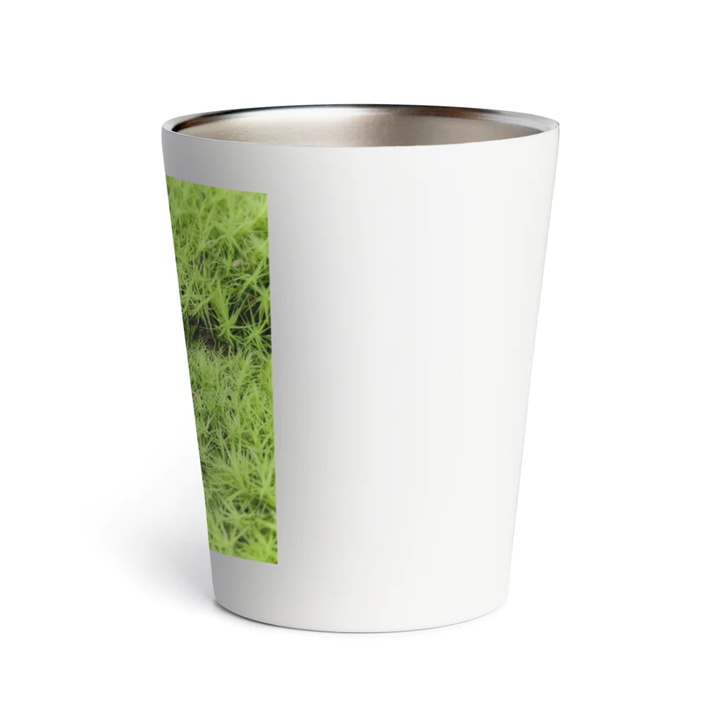 アトリエWindwingの苔グッズ（タマゴケ玉つき） Thermo Tumbler