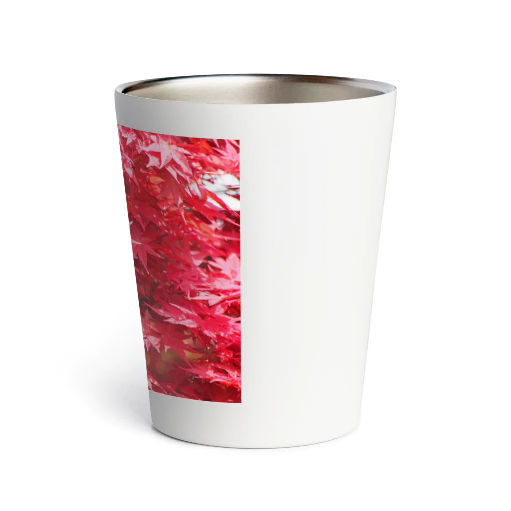 morinoyouseiの鮮やかなもみじ Thermo Tumbler