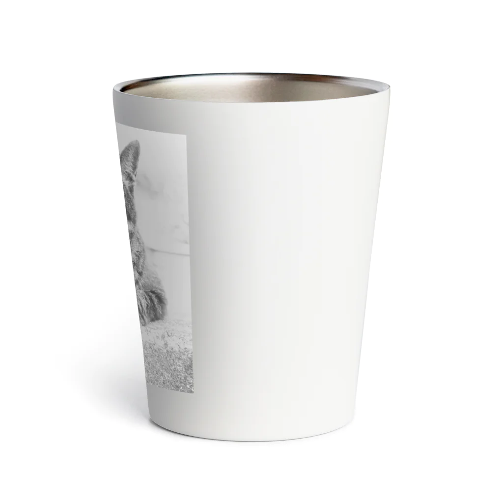 Cafe_antibesのドラちゃん 2 Thermo Tumbler