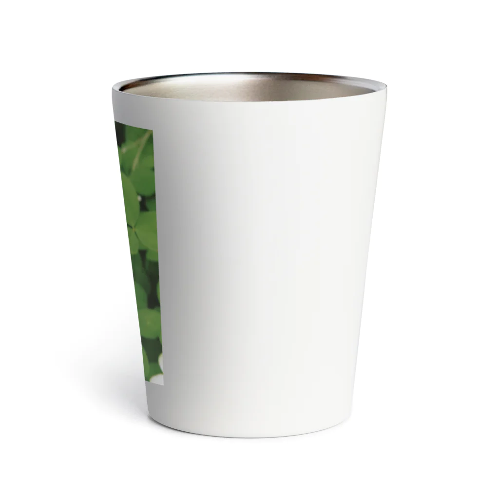 ほぼひめ。のシロツメクサ Thermo Tumbler