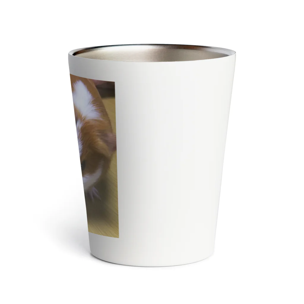 モルモットのミマモル隊の（マル・ミルク）A Thermo Tumbler