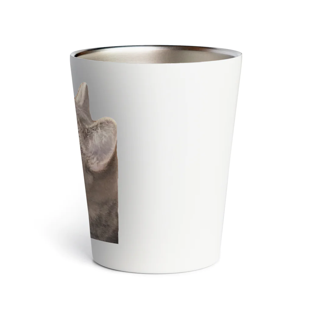 akopooのぷぅにゃん生後８カ月　君が見るもの Thermo Tumbler