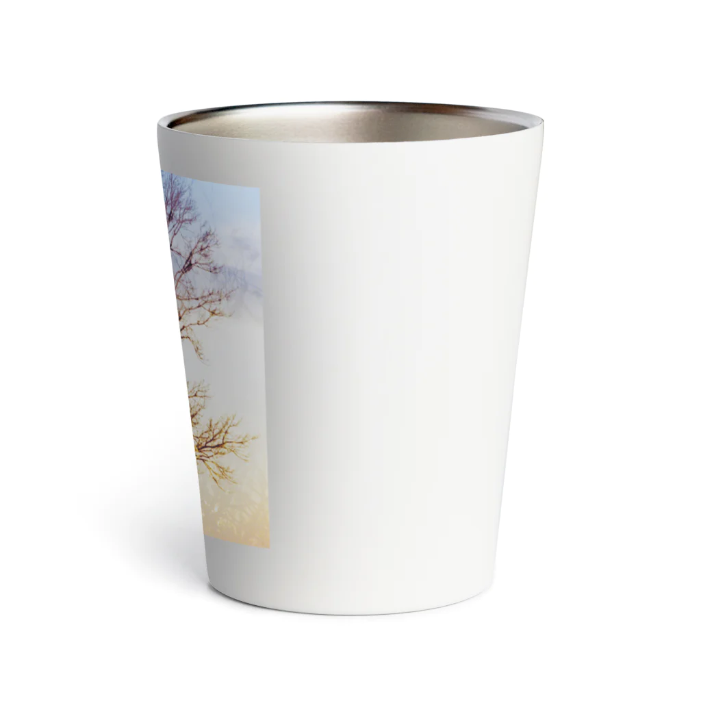 燈火　TomoshiBiの夕日×木影 Thermo Tumbler