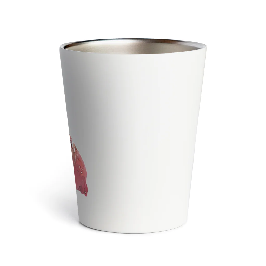 プリティベアの赤ウィンナー Thermo Tumbler