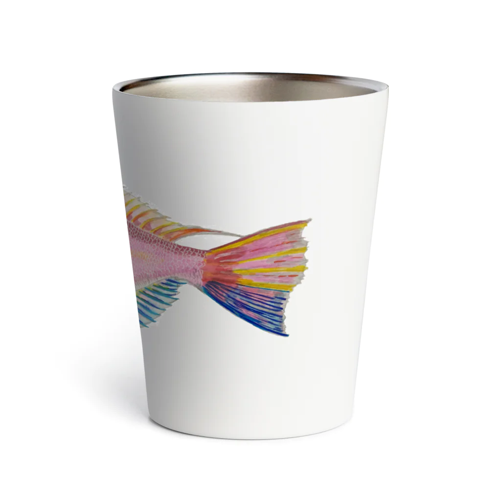 Coshi-Mild-Wildの甘鯛　D  Thermo Tumbler