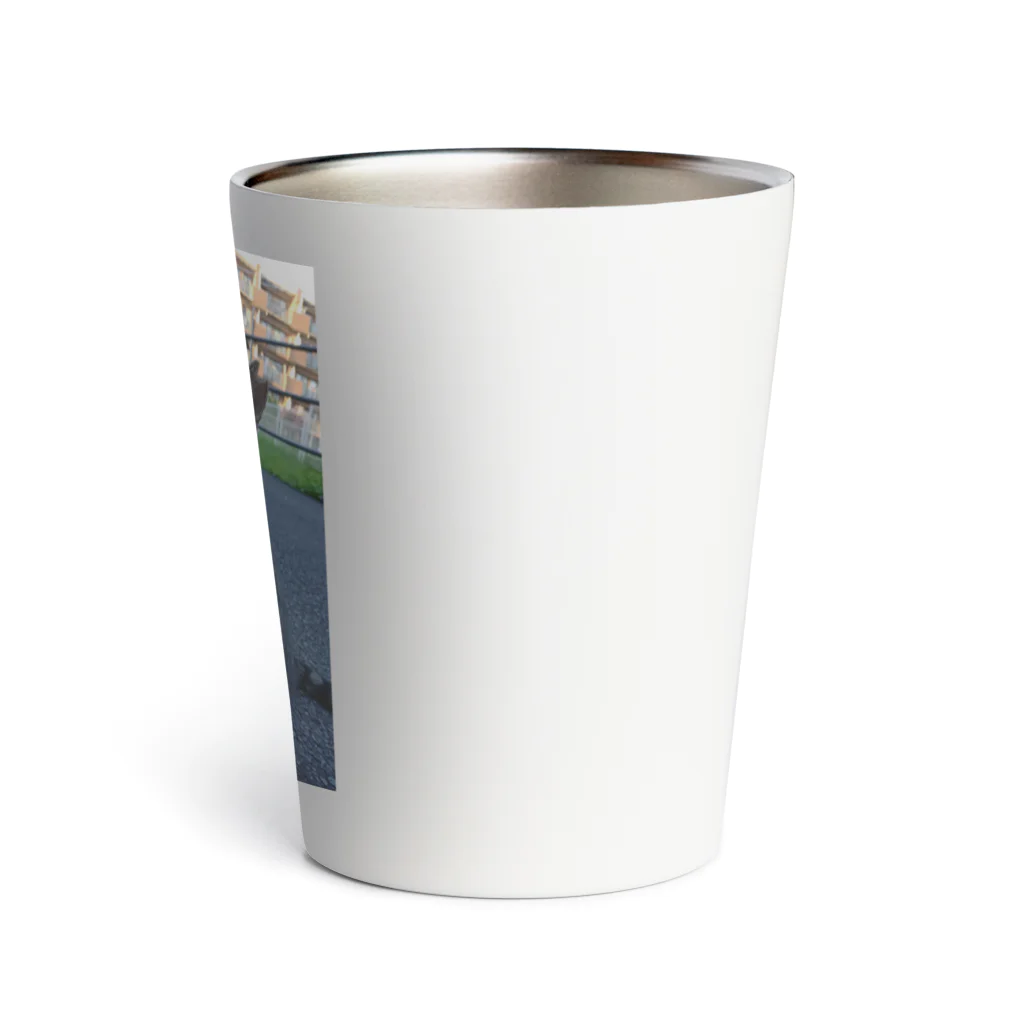 ながしっぽ from.さくらねこの家のとらちゃん　type.Ｂ Thermo Tumbler