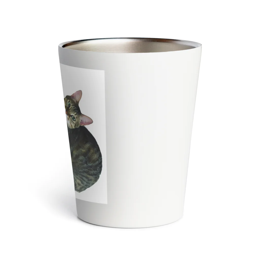 こむまめにゃんずの店のくっつきにゃんこ Thermo Tumbler