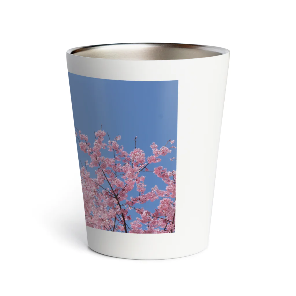 花畑写真館🌷の#2 さくら❁ Thermo Tumbler