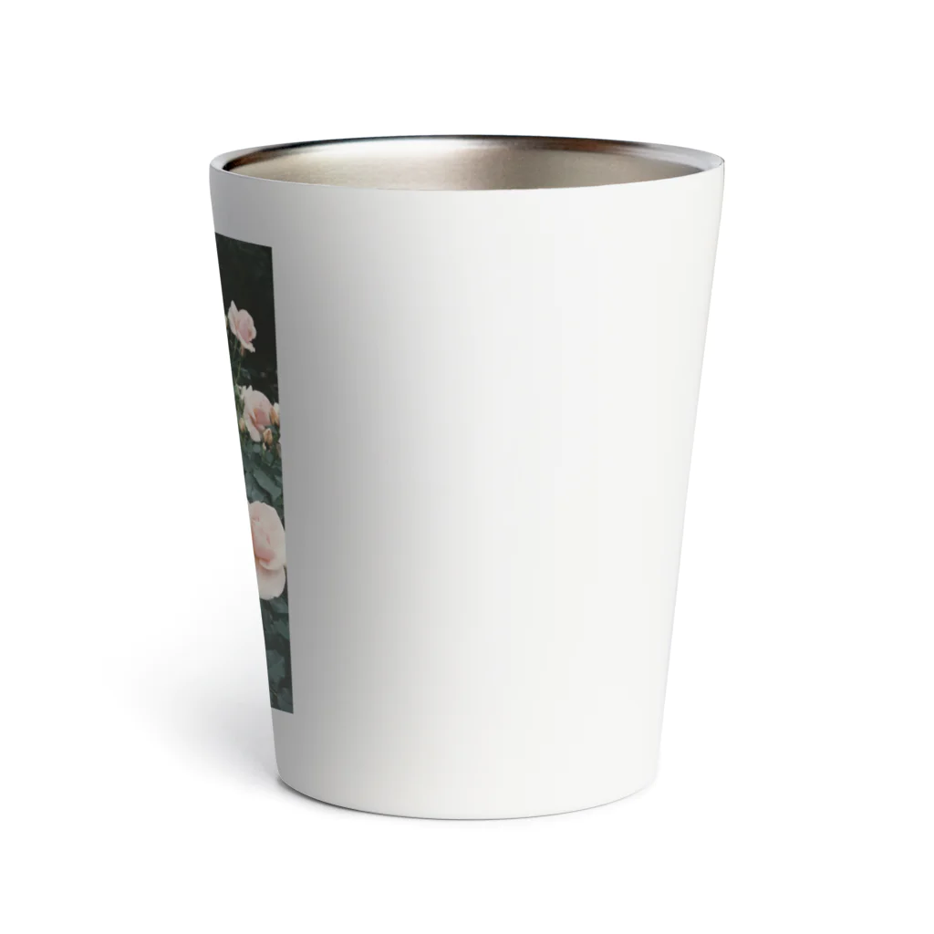 こいのやさんのPark in May Thermo Tumbler