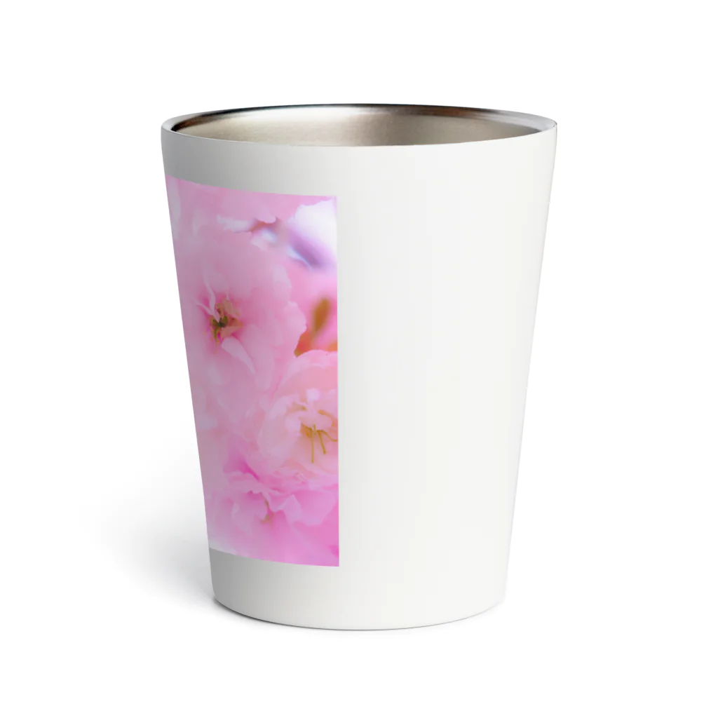 nu.のdouble cherry blossom Thermo Tumbler