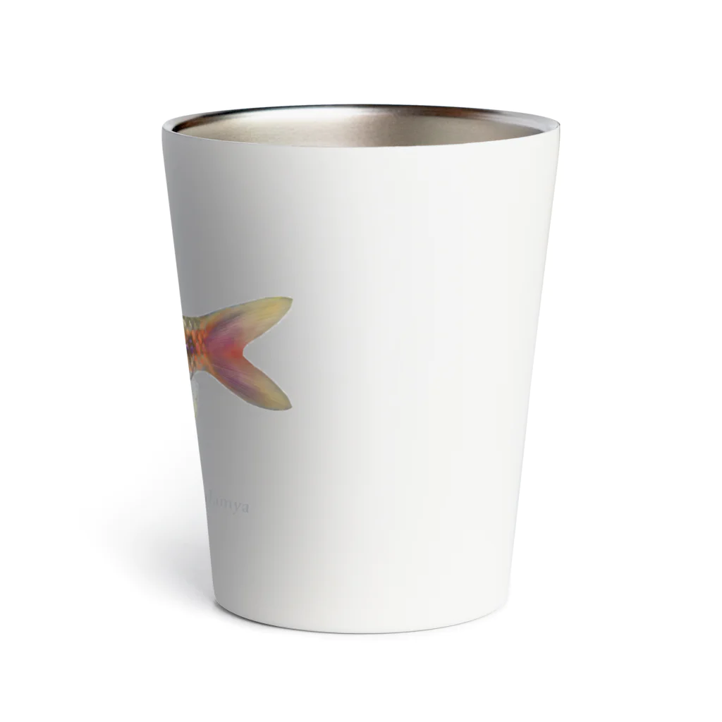 応魚のオデッサバルブ３ Thermo Tumbler